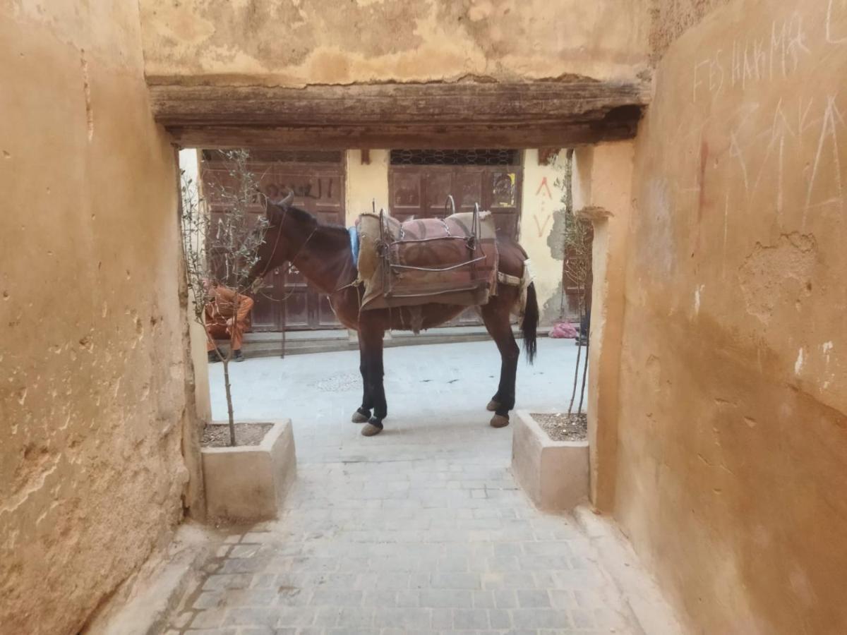 Dar Lantana Hotel Fez Bagian luar foto